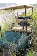 GREEN GOLF CART