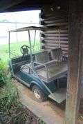 GOLF CART WITH CHARGER