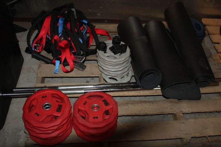 PALLET WITH MIXED LOT OF VARIOUS ITEMS (SUSPENSION TRAINERS, MATS, MIX OF 2.5;5;10lb PLATES, CHROME