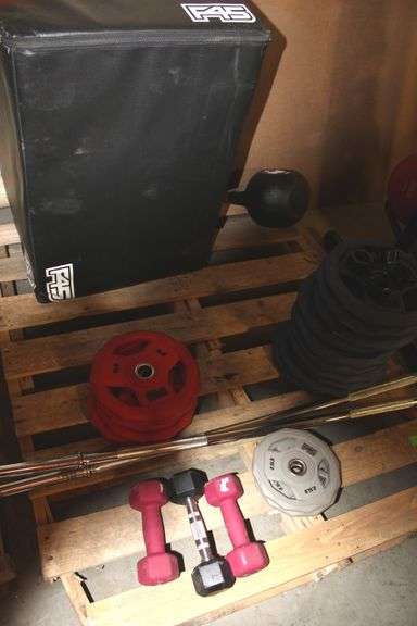 PALLET WITH MIXED LOT OF VARIOUS ITEMS (1-SOFT JUMP BOX, 3-SMALL DUMBBELLS, MIX OF 2.5;5;10lb PLATES