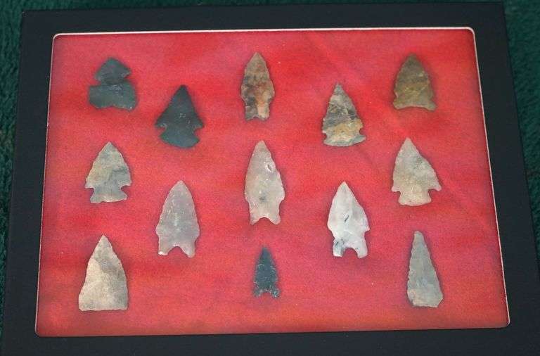 13 Authentic Bird Point Artifacts Arrowheads in New Display Case