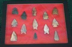 13 Authentic Bird Point Artifacts Arrowheads in New Display Case
