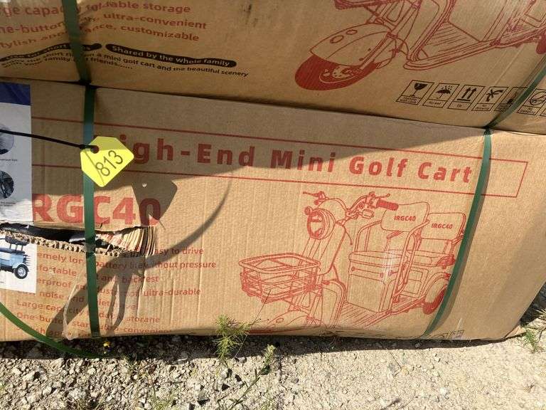 Mini Golf Cart Franklin TX