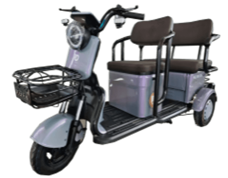 IRGC40 Electric Golf Cart Franklin, TX
