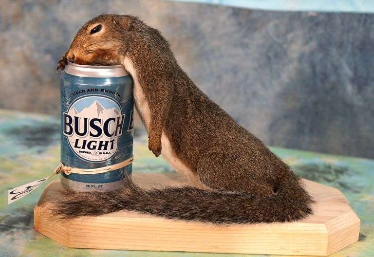 Drunk Squirrel Novelty Taxidermy Mount