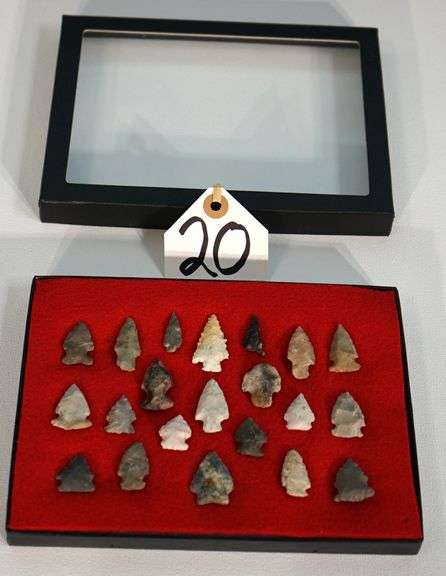 (21) Authentic American Indian Bird Point Arrowhead Artifacts in Display Case