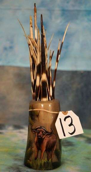 A Polished Horn part made into a cup, full of African Porcupine Quills Taxidermy