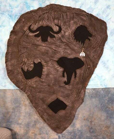 Tanned Elephant Ear with the African Big 5 Taxidermy Mount **U.S. Residents Only!**