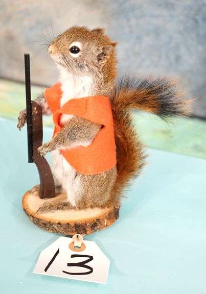 Hunting Squirrel Novelty Taxidermy Mount