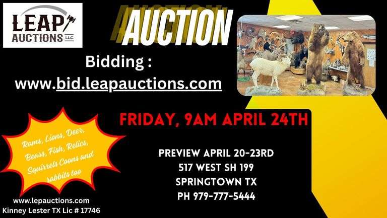  Mid Year Superior Animal Brokers Taxidermy Auction