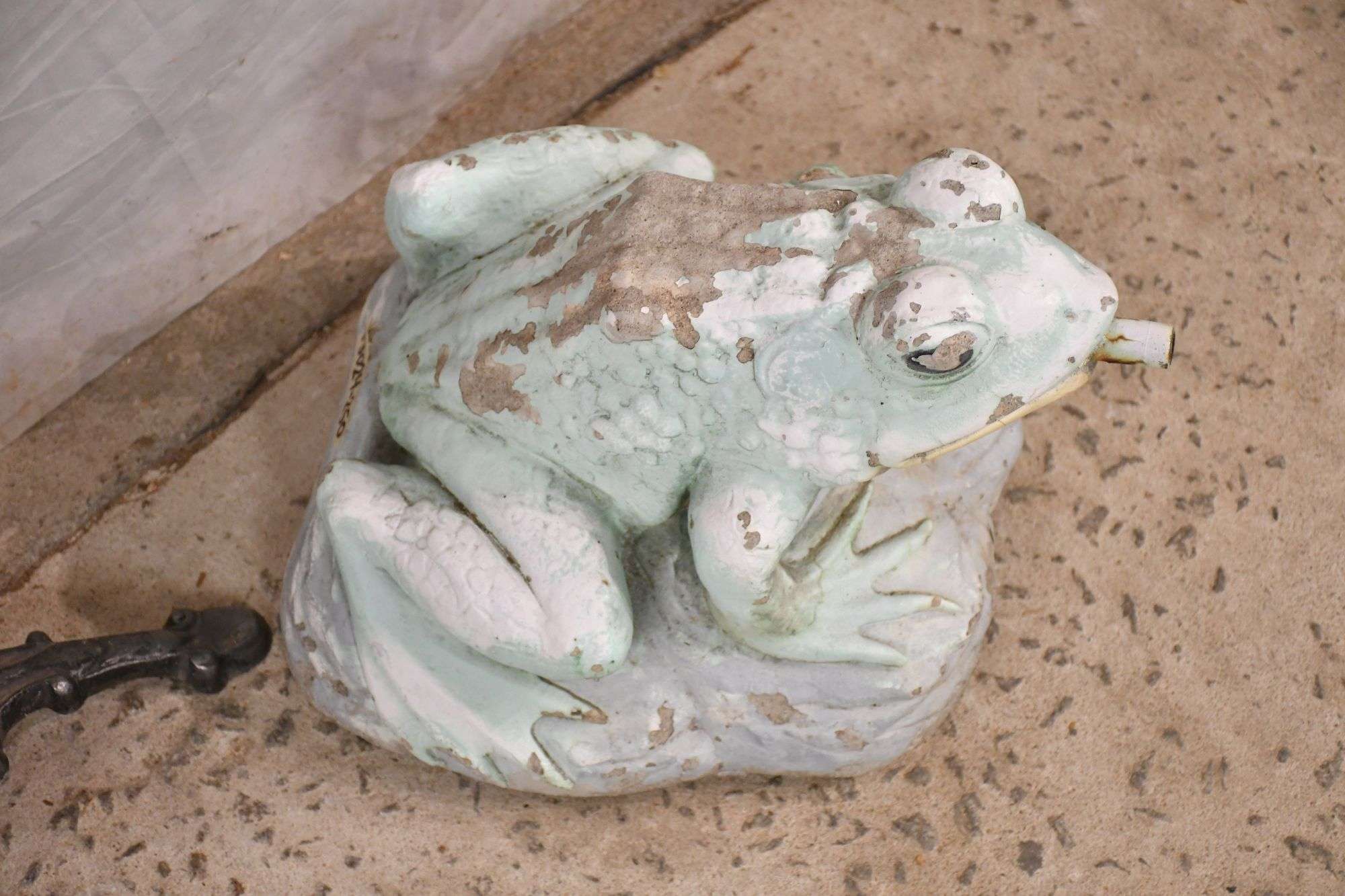 【中古】 A Tree Frog Tonality JohnLindberg 中古】 A Tree Frog Tonality JohnLindberg A Tree Frog