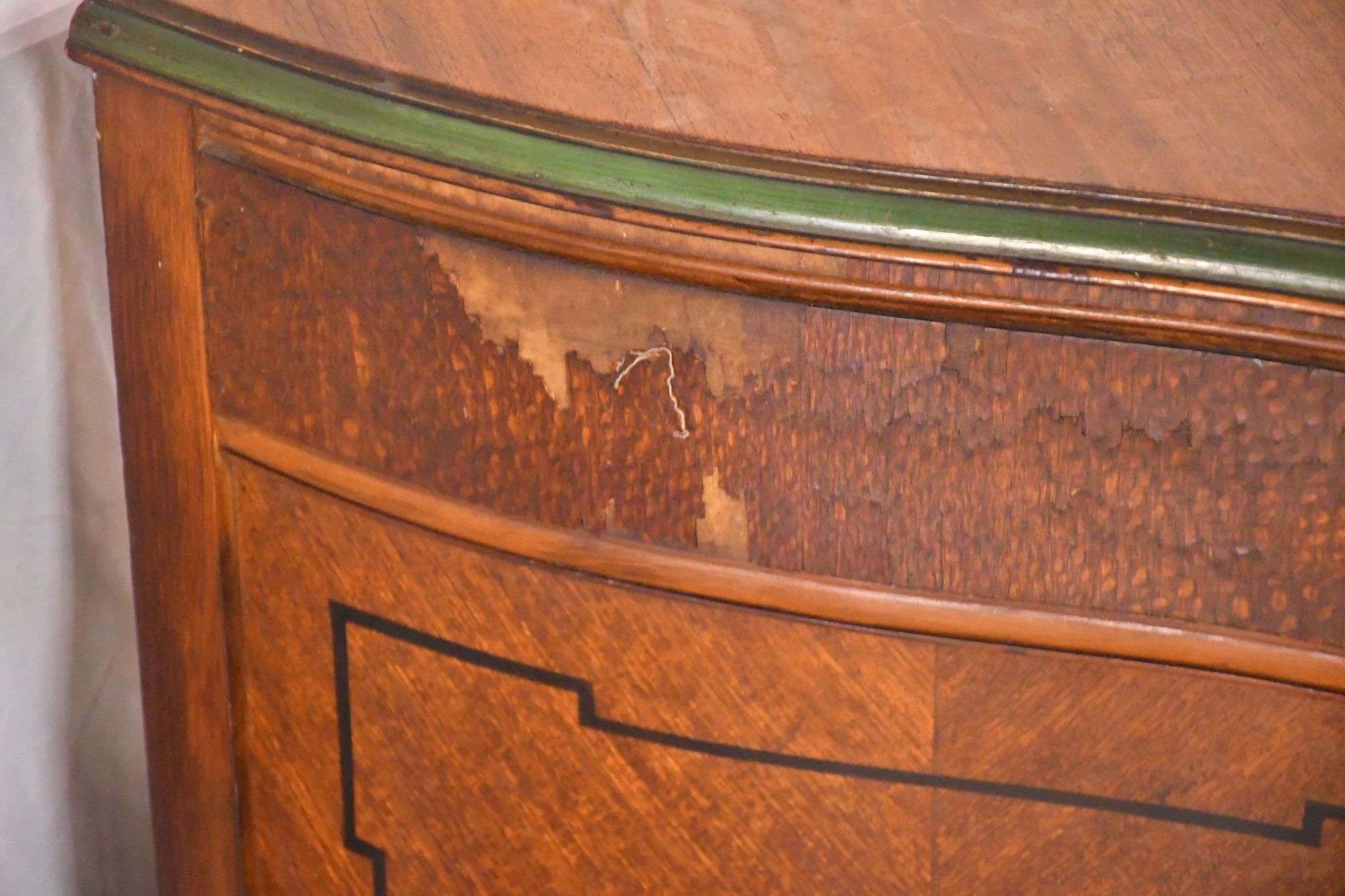 定価3.8万◆1871年ロンドン Henry Eeles Dresser「鳥類譜 定価3.8万◇1871年ロンドン Henry Eeles Dresser「鳥類譜 定価