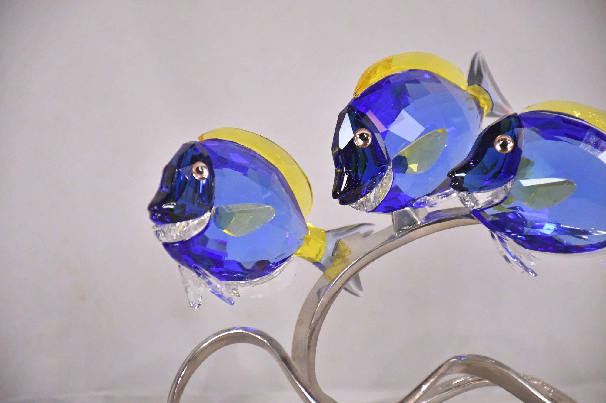 Swarovski crystal sculpture of blue tang fish; 13881-C089 - R.H.