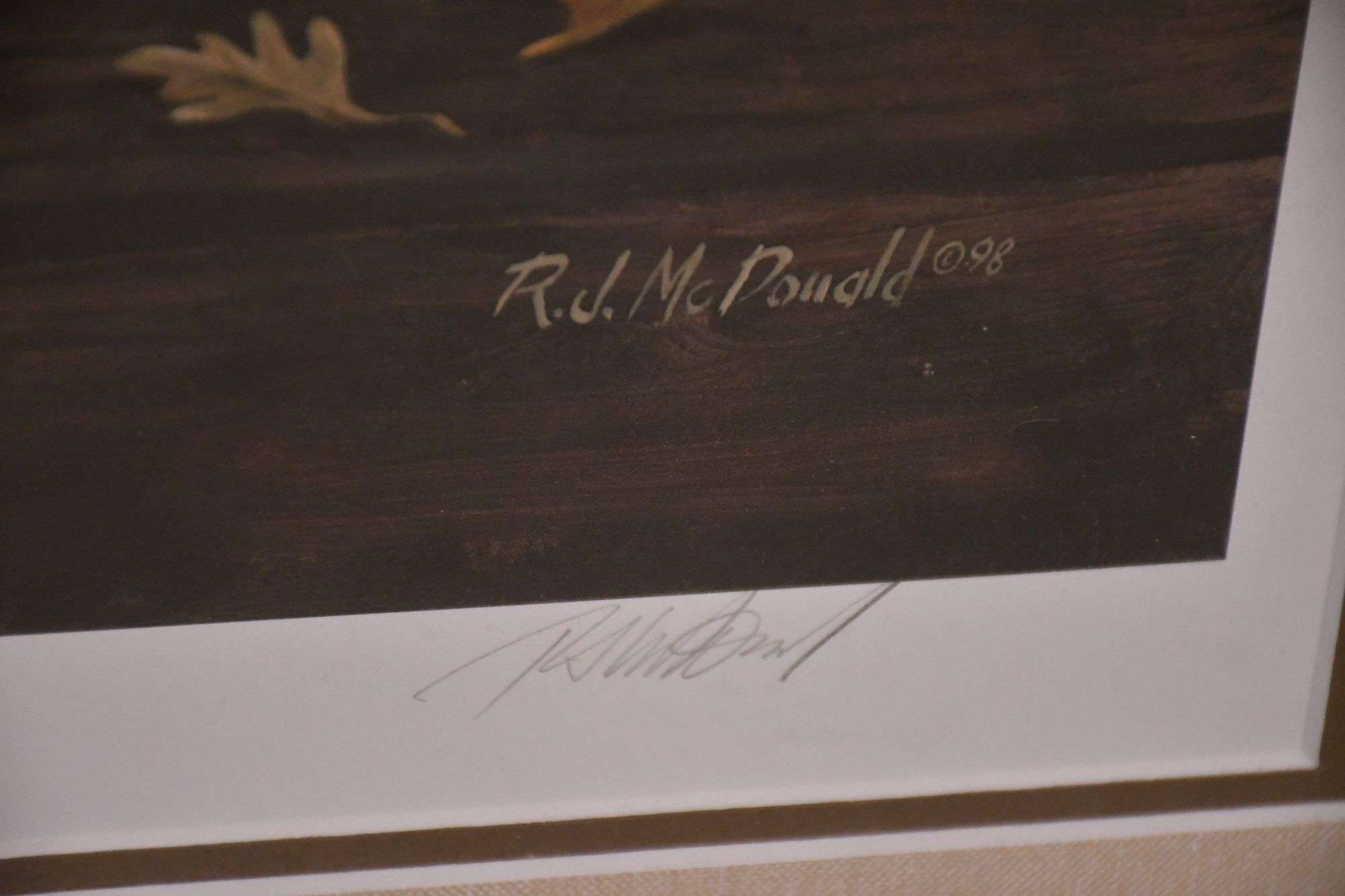 Large signed limited edition framed print 