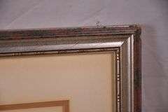 Signed limited edition framed floral print by Pervez Captain; 14475-116