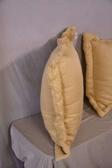 Pair of large pillows; 869-436