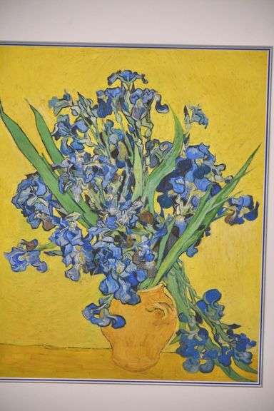 2 framed floral still life prints by Vincent Van Gogh; 975-1572