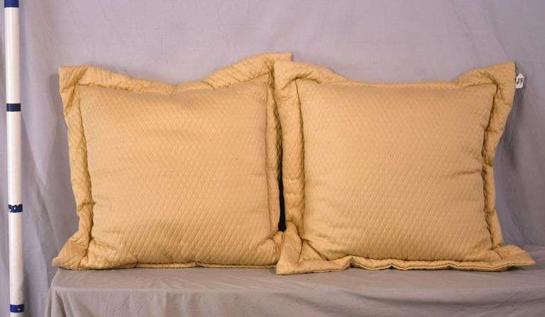 Pair of large pillows; 869-436