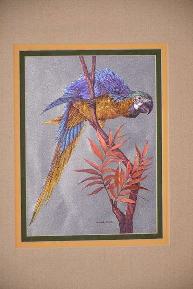 Pair of framed iridescent macaw prints by Richard J. Smith; 338-114
