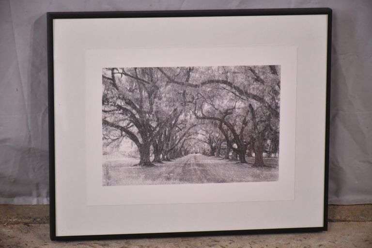 Framed print "Country Road" by Lamar Nix; 6117-032