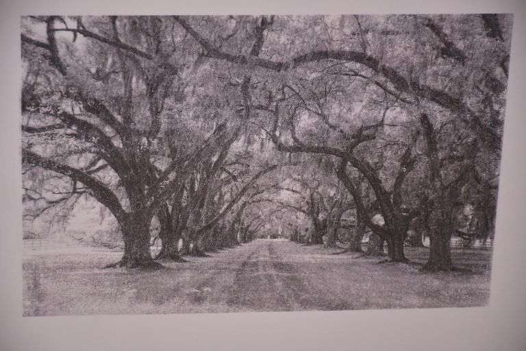 Framed print "Country Road" by Lamar Nix; 6117-032