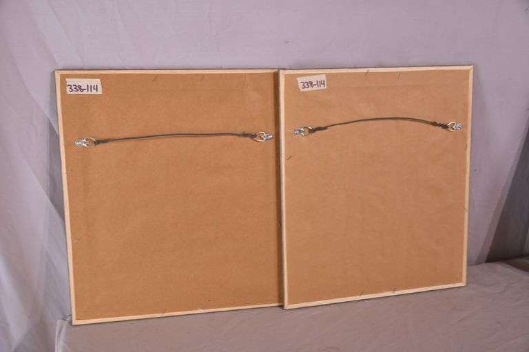 Pair of framed iridescent macaw prints by Richard J. Smith; 338-114