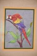 Pair of framed iridescent macaw prints by Richard J. Smith; 338-114