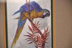 Pair of framed iridescent macaw prints by Richard J. Smith; 338-114