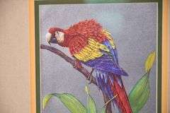Pair of framed iridescent macaw prints by Richard J. Smith; 338-114