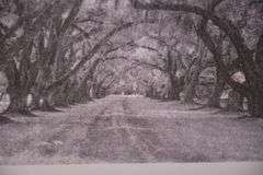 Framed print "Country Road" by Lamar Nix; 6117-032