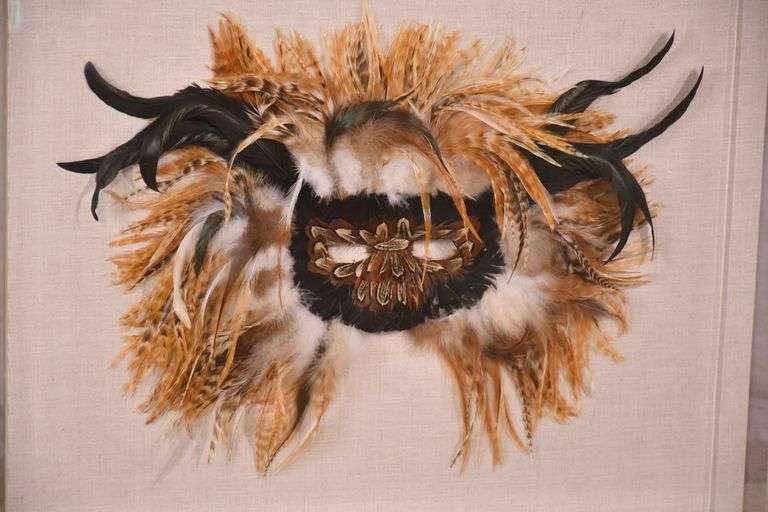 Framed pheasant feather mask; 55-12226