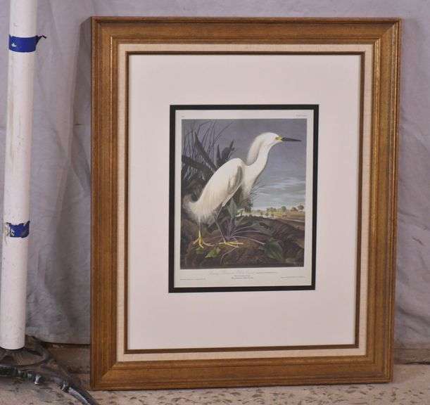 Framed "Snowy Heron or White Egret" by John J. Audubon; 1054-1398