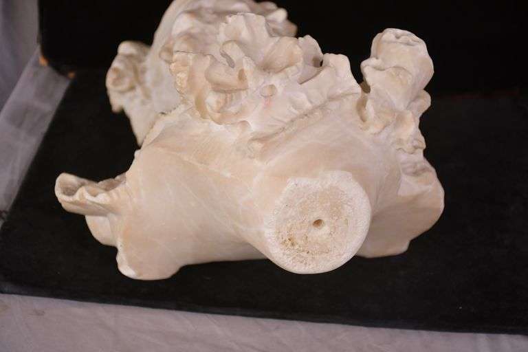 Marble bust of a woman; 869-609