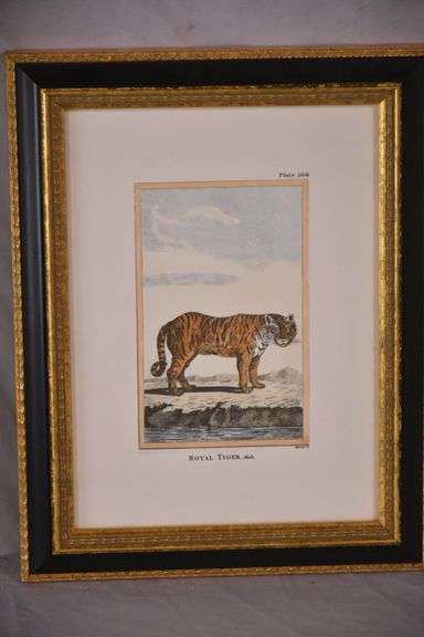 Pair of small framed engravings "Royal Tiger" & "Zebra"; 18303-012