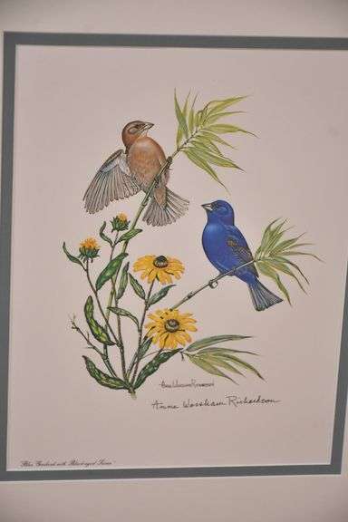Signed framed print "Blue Grosbeak with Black-eyed Susan" by Anne Worsham Richardson; 18092-026