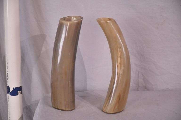 2 horn decorations; 13-206