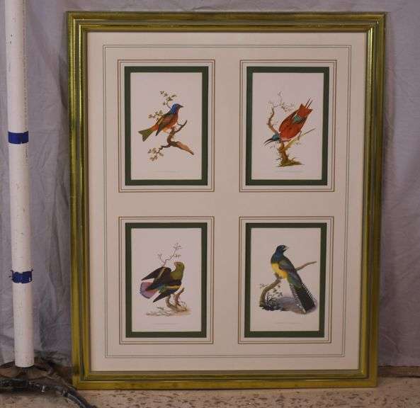 Framed group of 4 bird prints by E. Donovan; 18303-010