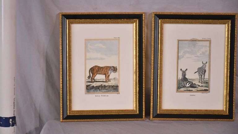 Pair of small framed engravings "Royal Tiger" & "Zebra"; 18303-012