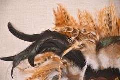 Framed pheasant feather mask; 55-12226