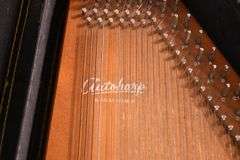 Oscar Schmidt Auto Harp with case; 55-12260