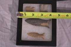 Group of miscellaneous Native American spearheads in 3 black cases; 12133-013