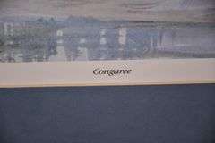 Signed limited edition framed print of a watercolor "Congaree" by Gil Petroff; 18092-028