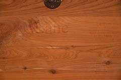 Lane cherry cedar-lined lift-top trunk; 55-12247
