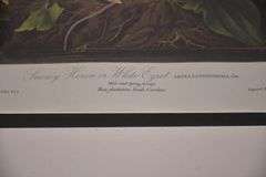 Framed "Snowy Heron or White Egret" by John J. Audubon; 1054-1398