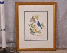 Signed framed print "Blue Grosbeak with Black-eyed Susan" by Anne Worsham Richardson; 18092-026
