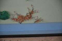 Oriental style shell artwork of birds and branches in shadowbox style frame; 55-12220