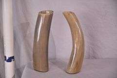 2 horn decorations; 13-206