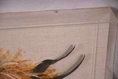 Framed pheasant feather mask; 55-12226