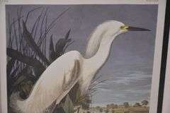 Framed "Snowy Heron or White Egret" by John J. Audubon; 1054-1398