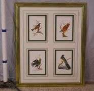 Framed group of 4 bird prints by E. Donovan; 18303-010